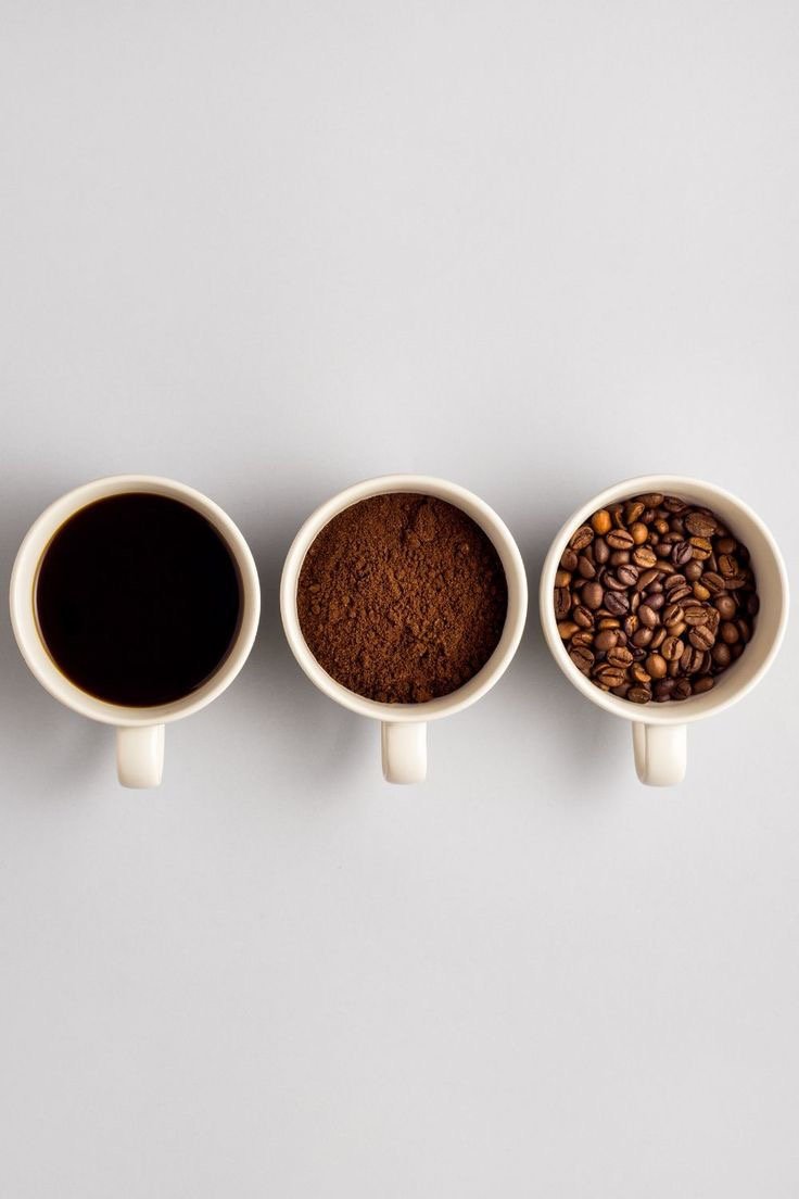 coffee fundamentals